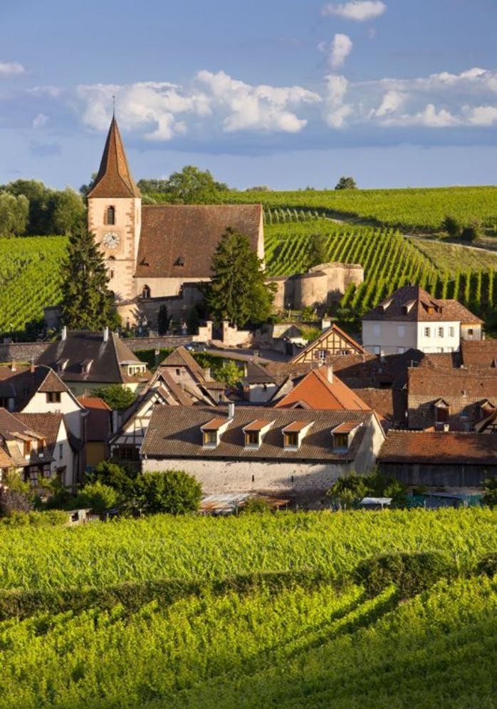 la-route-des-vins-d'Alsace-vue-vers-Hunawihr
