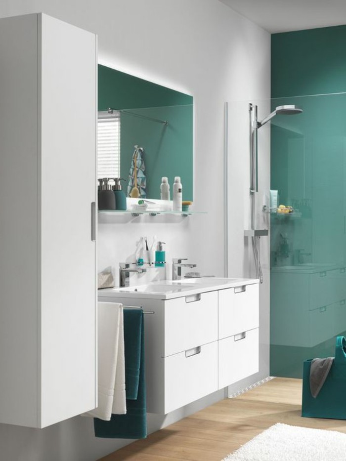salle-de-bain-double-couleur-blanc-et-bleu-sol-en-bois-clair-miroir-mural