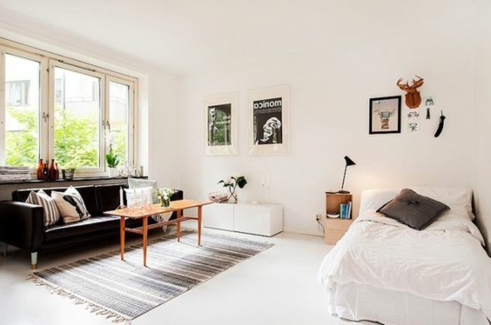 studio-appartement-amenager-studio-pas-cher-murs-beiges-tapis-chic-canape-noir