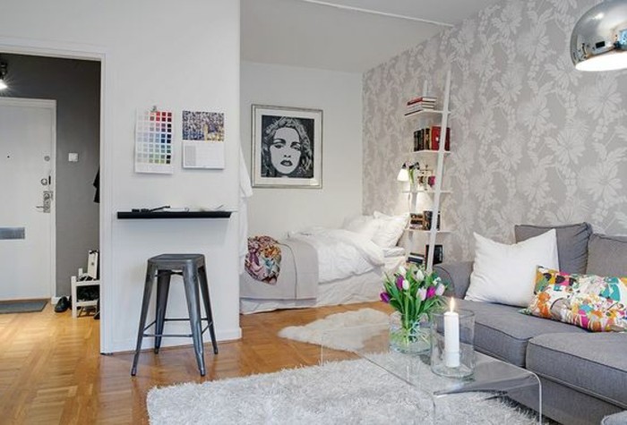 studio-meubles-gris-tapis-fourrure-gris-clair-sol-en-parqeut-clair-table-en-verre-transparente