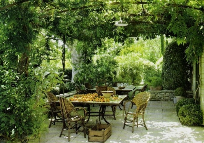 tonnelle-de-jardin-envahie-par-la-végétation-meubles-vintage