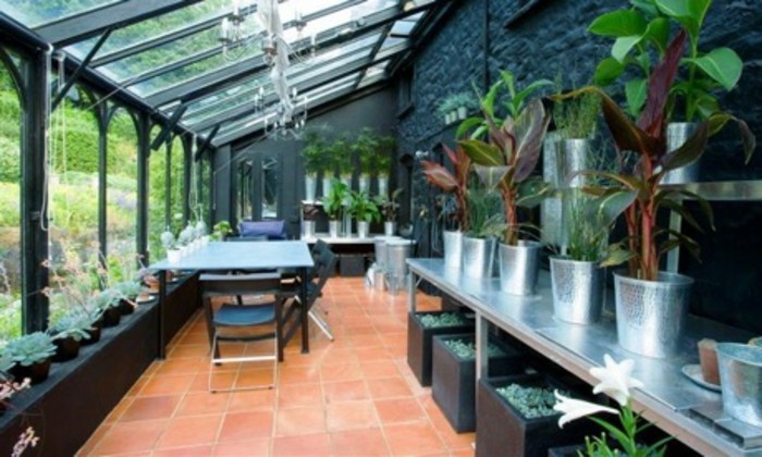 veranda-moderne-en-noir-aménagée-avec-beaucoup-de-plantes-baies-vitrées-toit-veranda-en-verre