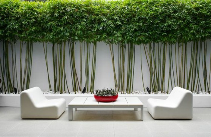 Mur de clôture. plus de 120 photos pour vous! Décoration clôture inspiration