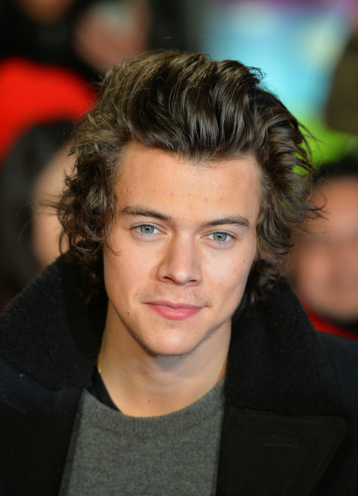 Harry Styles from boy band 'One Direction' poses for pictures on the red carpet at the world premiere of the documentary 'The Class of 92' in London's Leicester Square, on December 1, 2013. AFP PHOTO / LEON NEAL (Photo credit should read LEON NEAL/AFP/Getty Images)