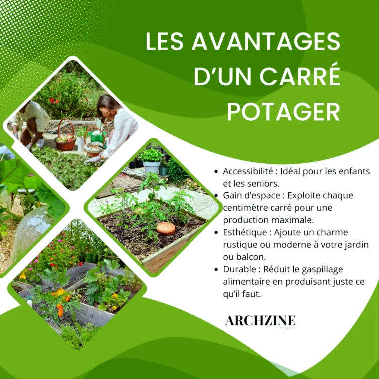 avantages d un carre potager