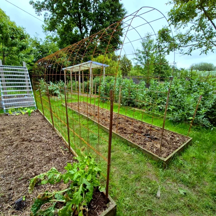 carre potager avec structure en metal pour creer une serre