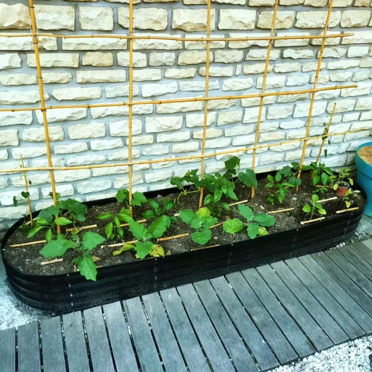carre potager avec un treillis