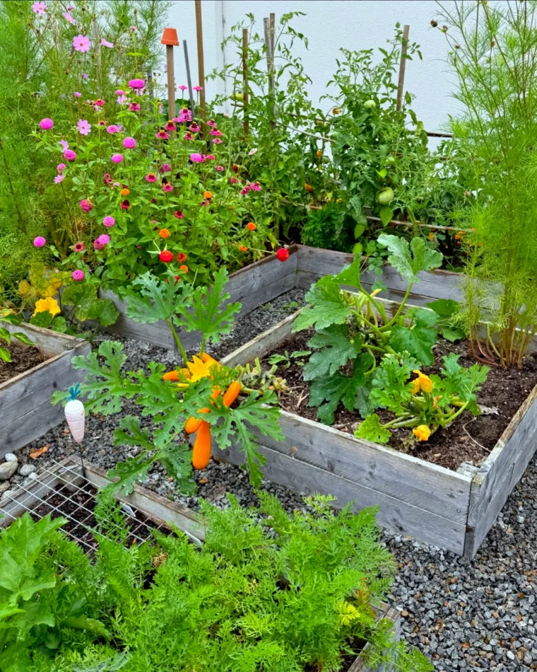 exemple d un beau carre potager avec beaucoup de legumes et de fleurs