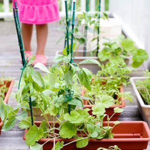Créer un carré potager dans son jardin | Conseils et idées en 50 photos