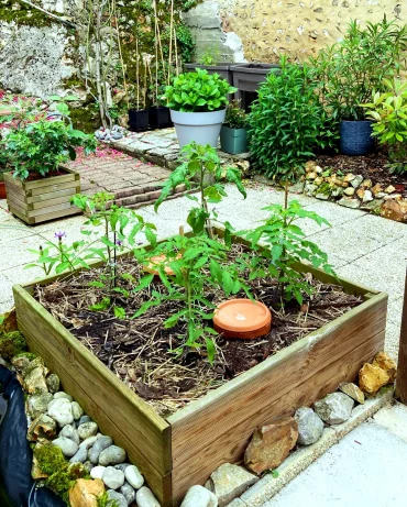 pourquoi faire un carre potager