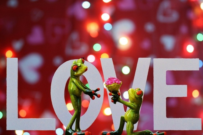 2-amour-carte-fete-romantique-image-bonne-st-valentin-idee-amusement