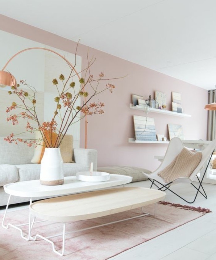 belle-idee-peinture-salon-rose-ambiance-tres-elegante-et-raffinee-sensation-cosy