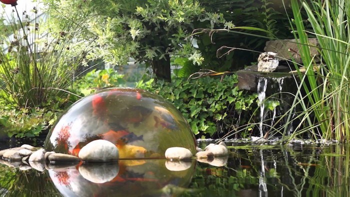 bassin-carpe-koi-bulle-eau-jardin-ornement
