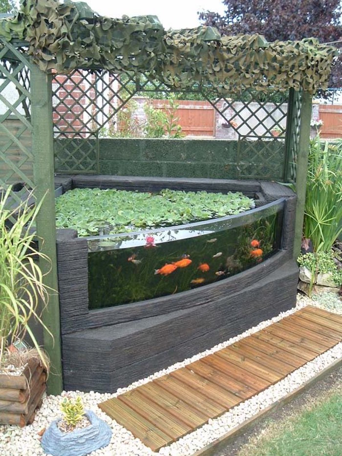 bassin-carpe-koi-design-jardin-poissonornement