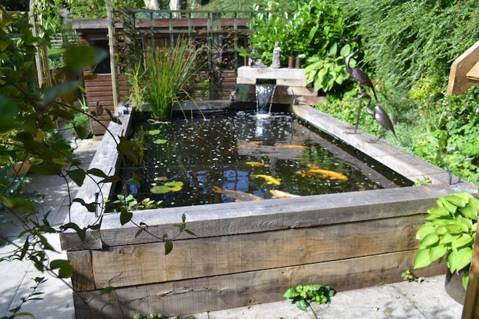 bassin-carpes-koi-jardin