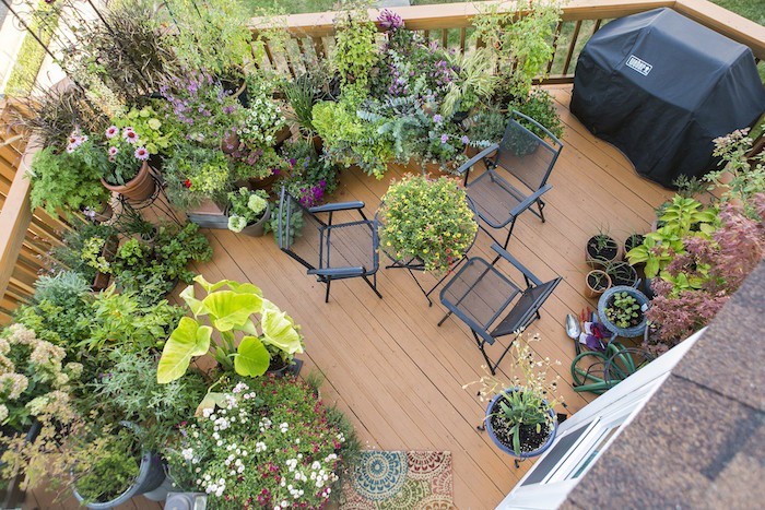 idee-amenagement-terrasse-bois-design-petit-jardin