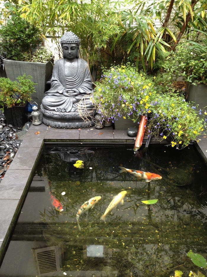 jardin-japonais-zen-bassin-carpe-koi