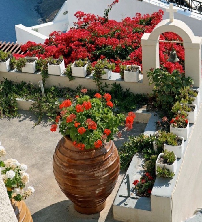 jardin-mediterraneen-grec-grece-style-idee-deco-design-terrasse-fleurs