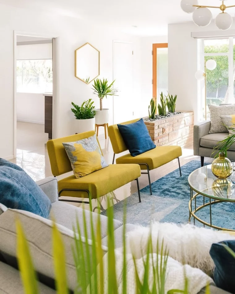 meubles couleurs jaune fauteuil tapis bleu murs blancs plantes vertes