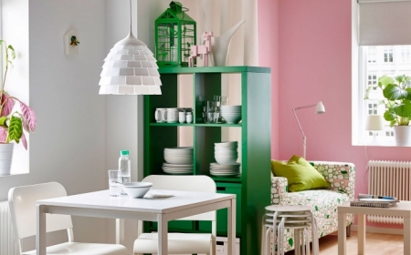 peinture murale tendance mur rose plantes vertes d intérieur meuble séparation pièce étagère blanche