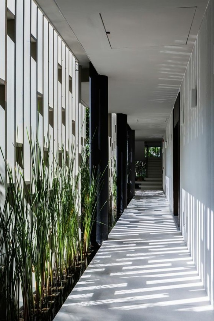 32-deco-de-couloir-des-plantes-vertes-sont-appuyes-sur-le-mur
