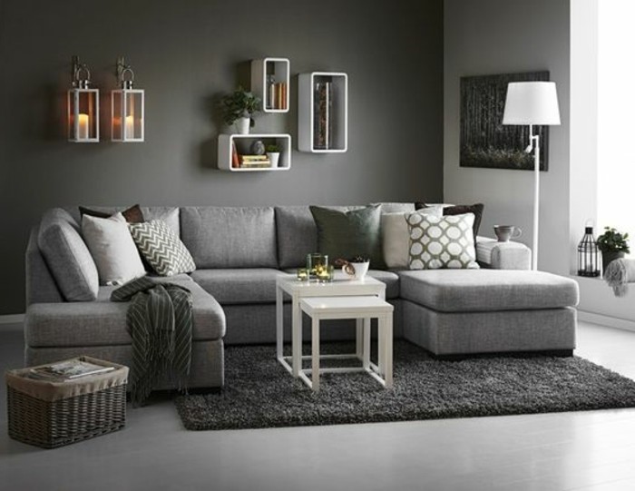deco-salon-moderne-mur-salon-gris-fonce-tapis-couleur-fonce-et-canape-gris-clair-ambiance-design-contemporaine