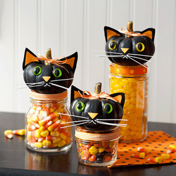 la-meilleure-idee-soiree-halloween-original-chatons-avec-bonbons