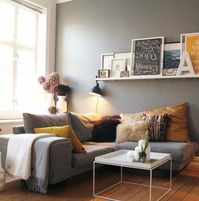 magnifique-idee-deco-salon-gris-murs-gris-clair-paquet-en-bois-canape-gris-table-blanche-design-riche-deco-murale