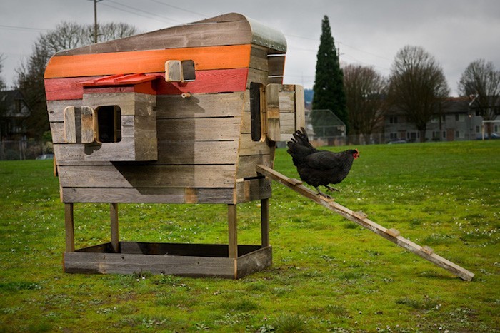 construire poulailler en bois palette pour poules de jardin