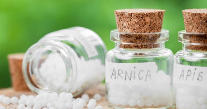 plantes-aromatiques-et-medicinales-arnica-montana-homeopathie