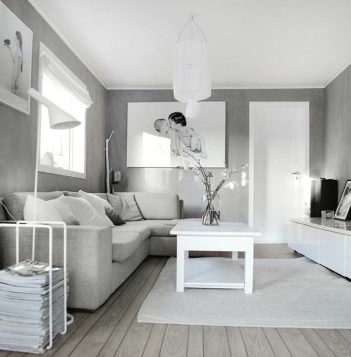 salon-en-gris-et-blanc-style-graphique-sensation-paisible-amenagement-salon-tres-simple-et-esthetique