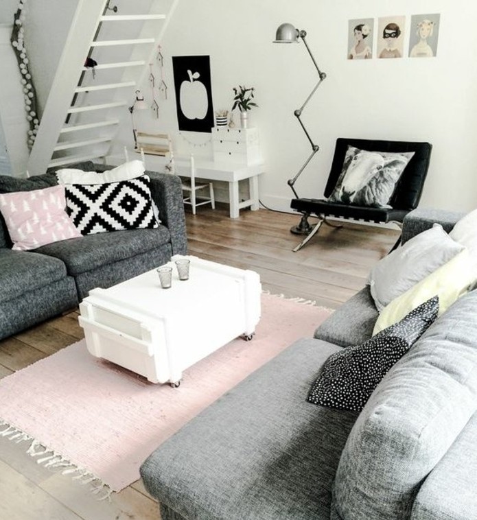 salon-gris-et-blanc-design-tres-interessant-couelur-peinture-salon-blanc-canapes-gris-accents-rose