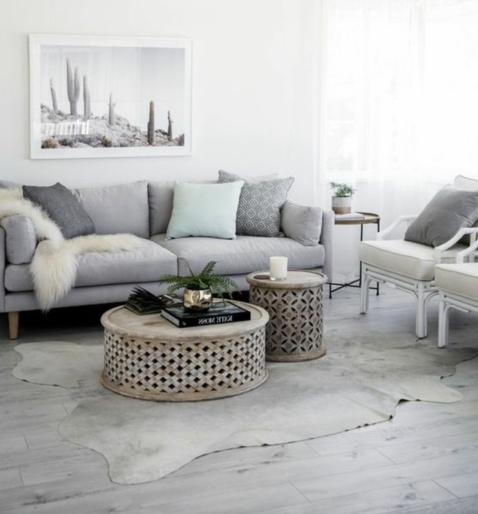 suggestion-elegante-et-exotique-salon-gris-et-blanc-tres-lumineux-canape-gris-tables-basses-design-interessant-couleur-peinture-salon-blanche