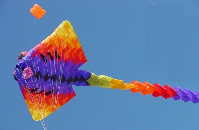 un-geant-modele-de-cerf-volant-suggestion-comment-faire-unserf-volant-multicolore