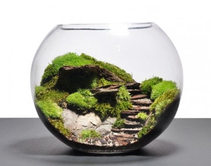 Terrarium Pour Plantes Tuto Pour Le Faire Et Plus De 70 - 