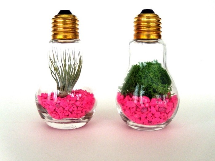 fabriquer-un-terrarium-dans-une-ampoule-electrique-une-suggestion-coloree-et-sympa-serre-jardin-miniature