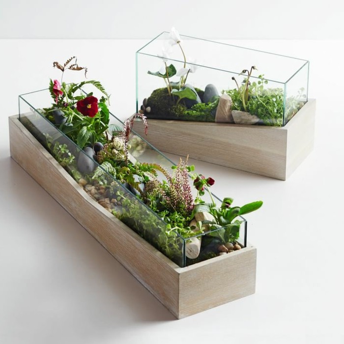 fabriquer-un-terrarium-en-verre-et-bois-magnifique-idee-comment-decorer-son-interieur-de-maniere-naturelle