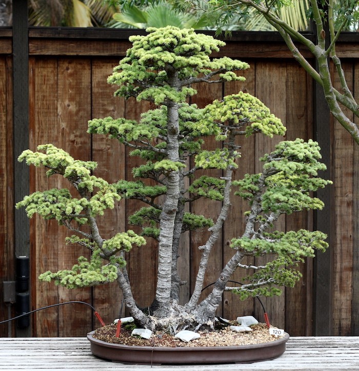 faux arbre bonsai artificiel vegetal plastique deco plante artificielle fleurs artificiel