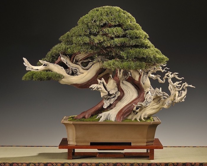 fleur artificiel bonsai artificiel faux arbre végétal plastique deco interieur pot