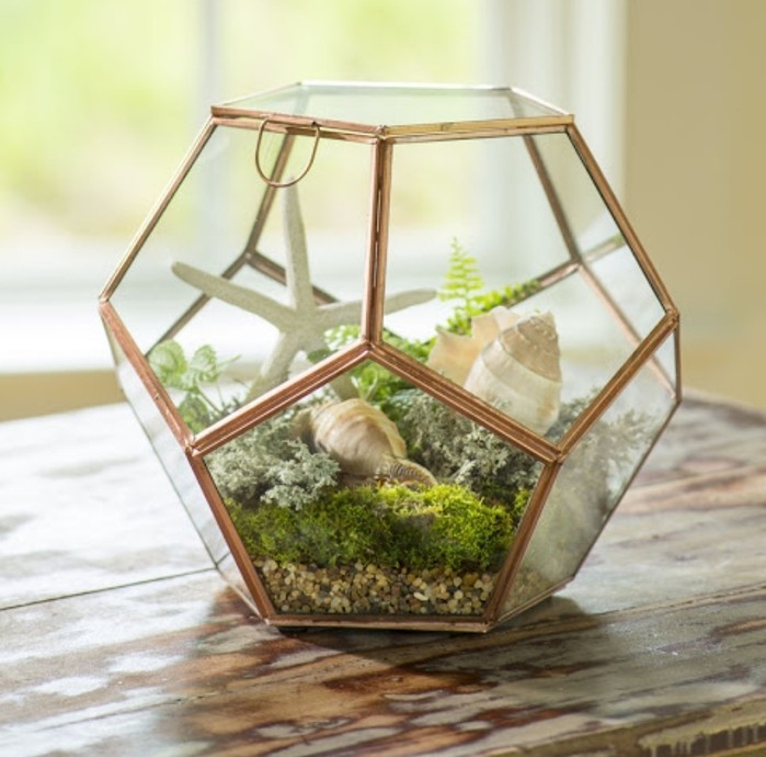 jardin-miniature-dans-un-recipient-en-verre-design-magnifique-terrarium-plante-vert-pour-votre-interieur
