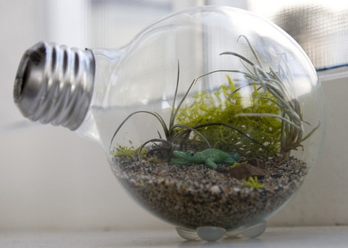 jardin-miniature-place-dans-une-ampoule-electrique-idee-pour-mini-terrarium-fantastique