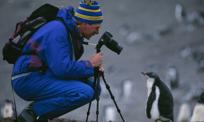 Ecotourist and Gentoo penguin chick, Half Moon Island, Antarctica.