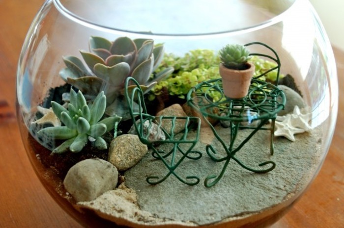 magnifique-idee-de-terrarium-plante-dans-un-bol-en-verre-idee-diy-superbe