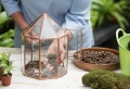 Terrarium pour plantes – tuto pour le faire et plus de 70 super modèles