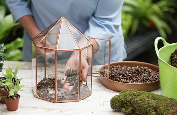 mettre-du-gravier-dans-le-recipient-pour-fabriquer-un-terrarium-plante-charmant