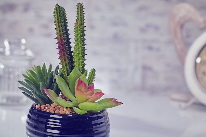 mini-cactus-artificiel-fausse-plante-plastique-artificielle-deco-vegetal-faux