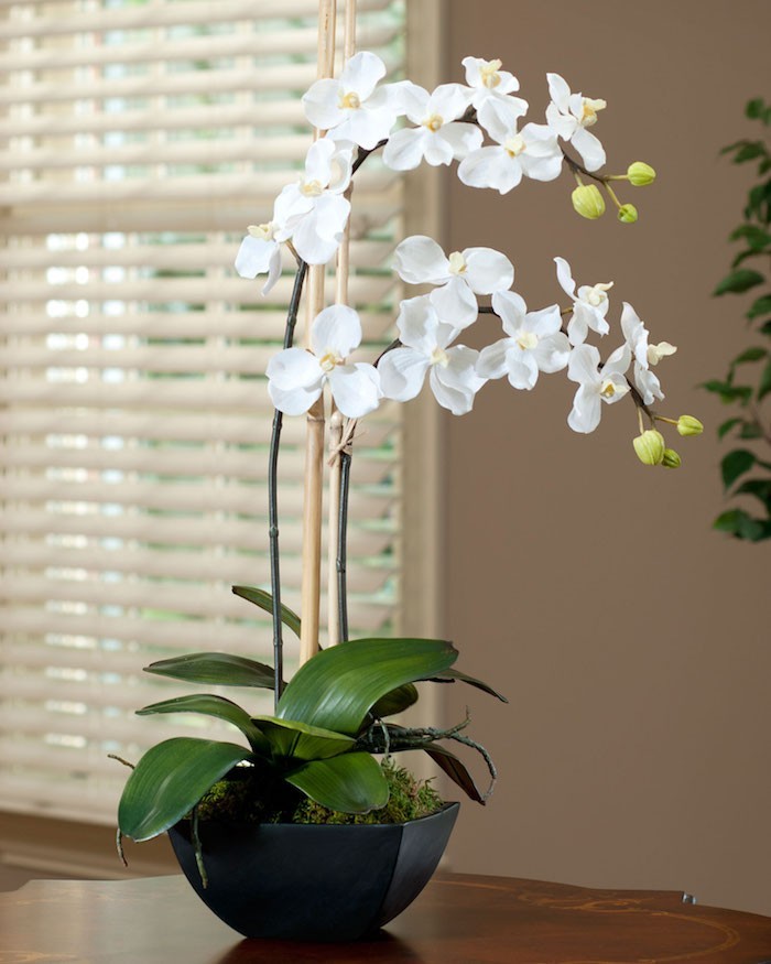 plante-artificielle-orchidee-artificielle-fleurs-artificielles
