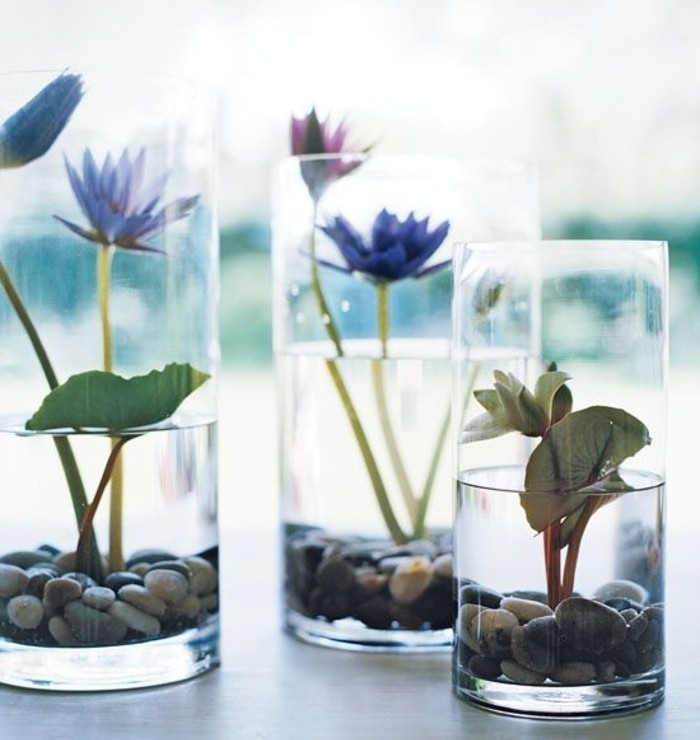 plante-terrarium-idee-fantastique-nunephares-dans-des-verres-simples