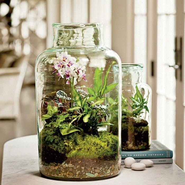 superbe-idee-de-jardin-miniature-dans-un-gros-receipeint-en-verre-superbe-orchidee-rose
