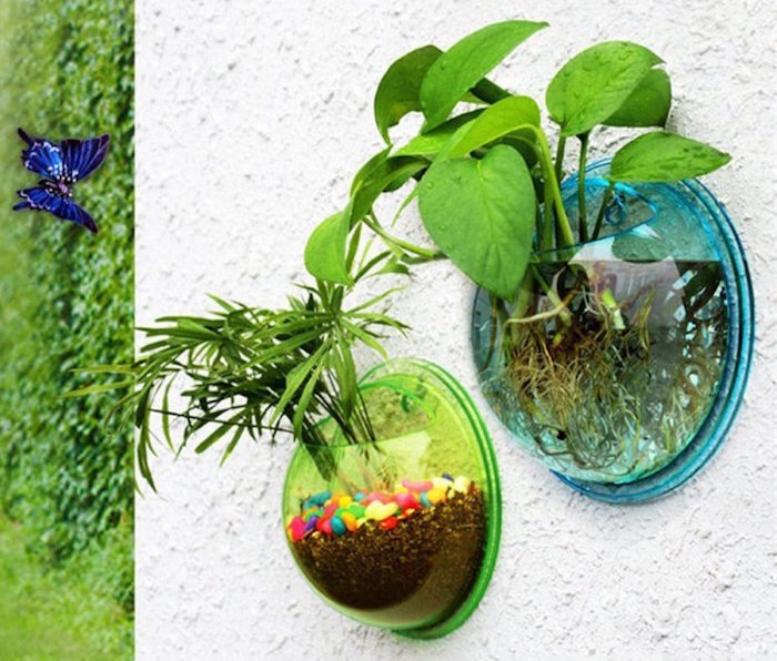 terrarium-exterieur-mural-pour-plante-aquatique
